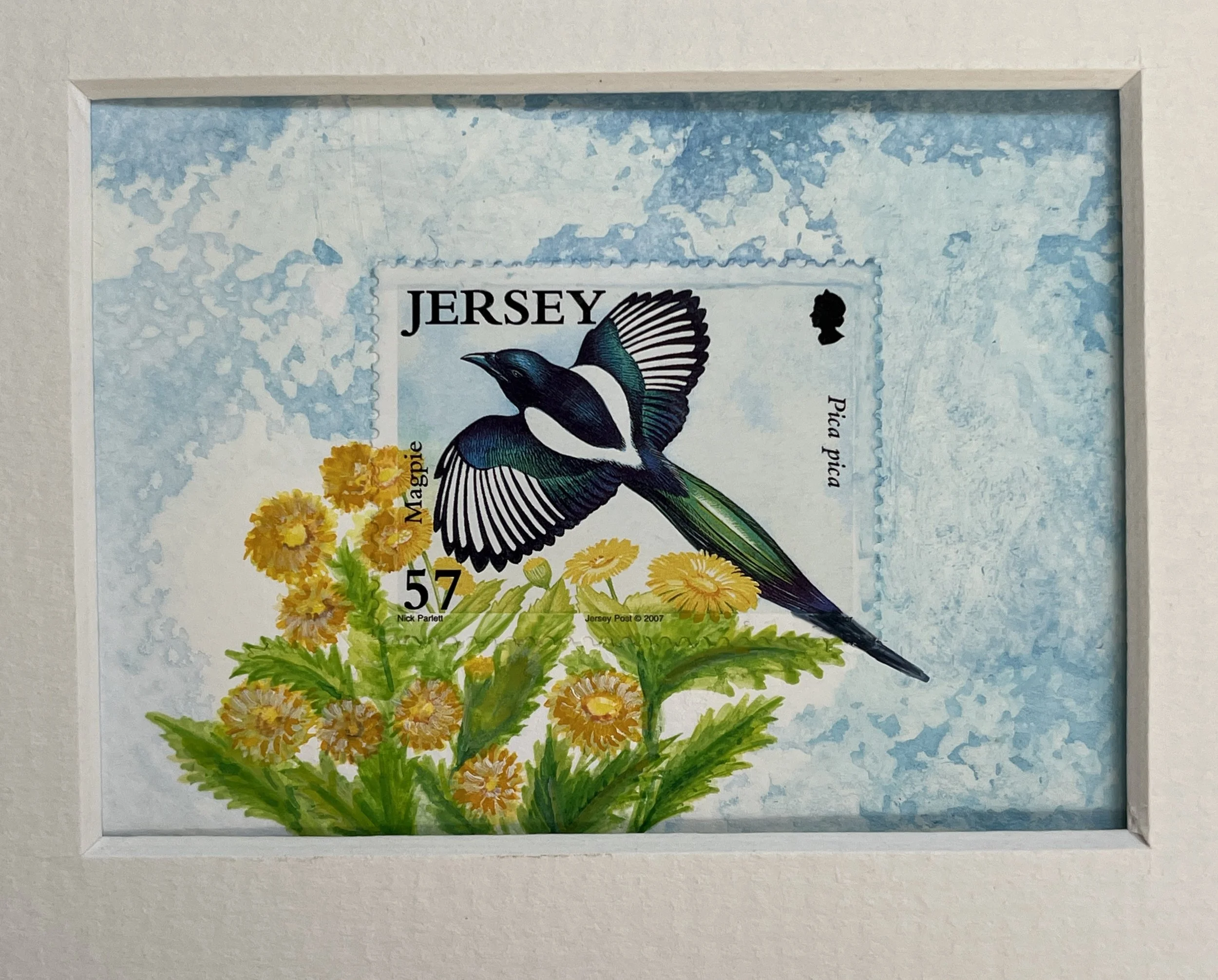 Magpie Bird Postage Stamp Art