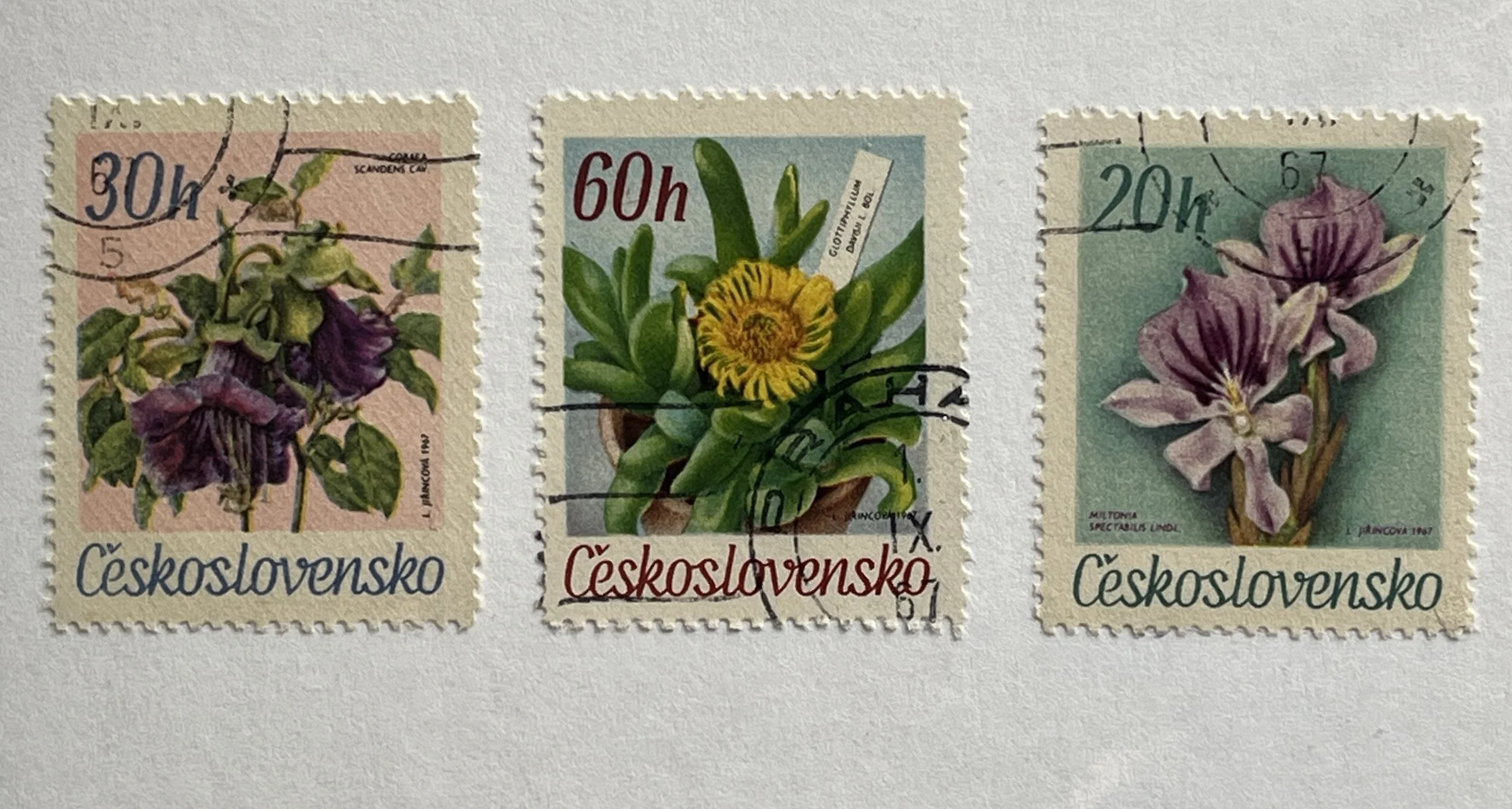 Vintage Stamp Floral Greeting Card and gift tag