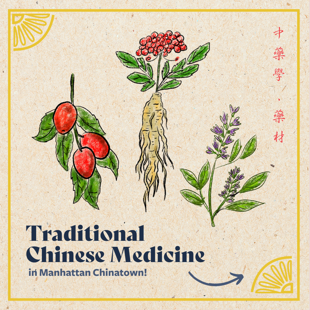 Traditional Chinese Medicine