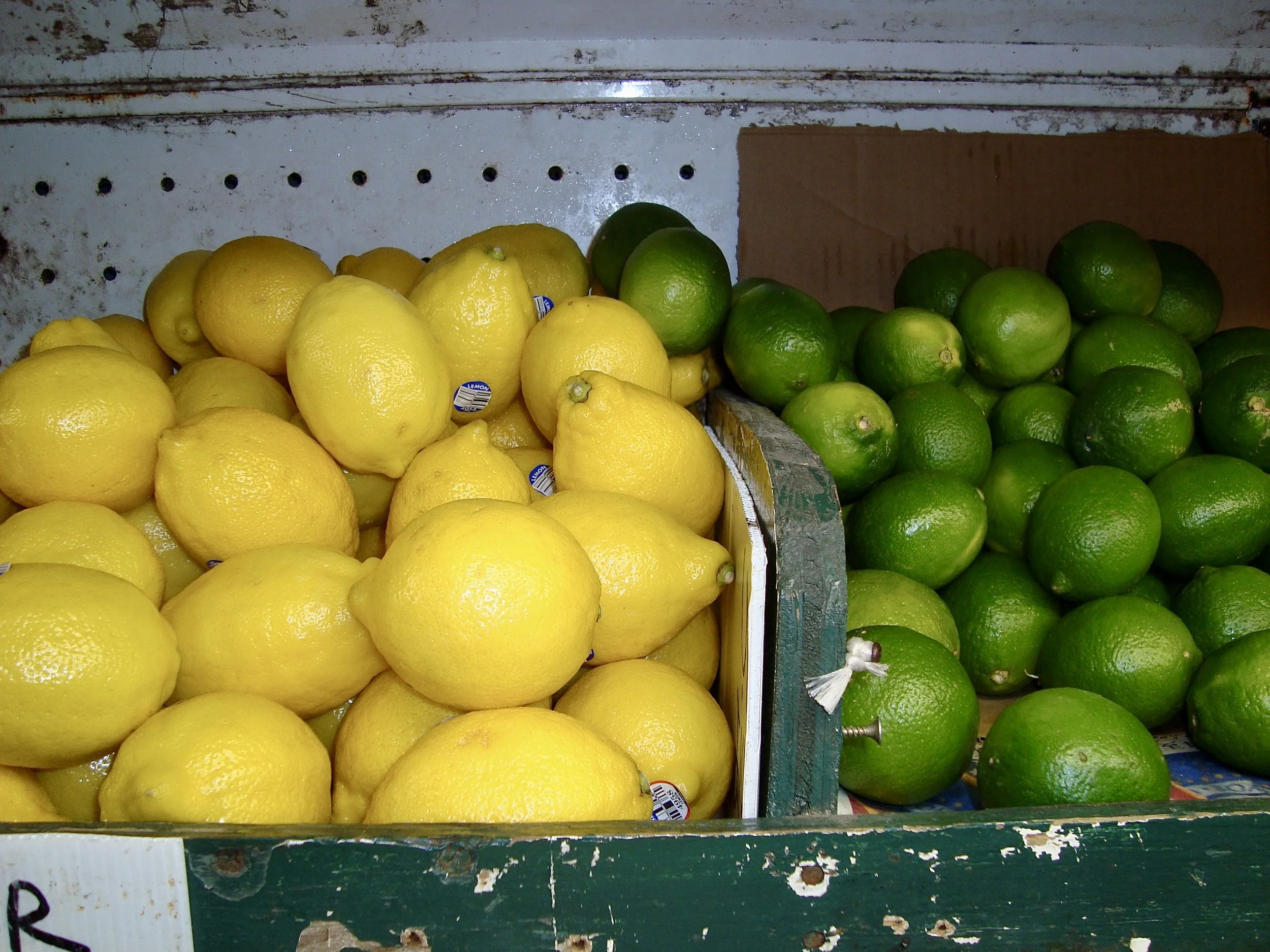 DSC08837.jpeg