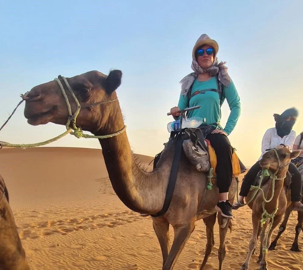 IDL-camel-and-desert3.webp