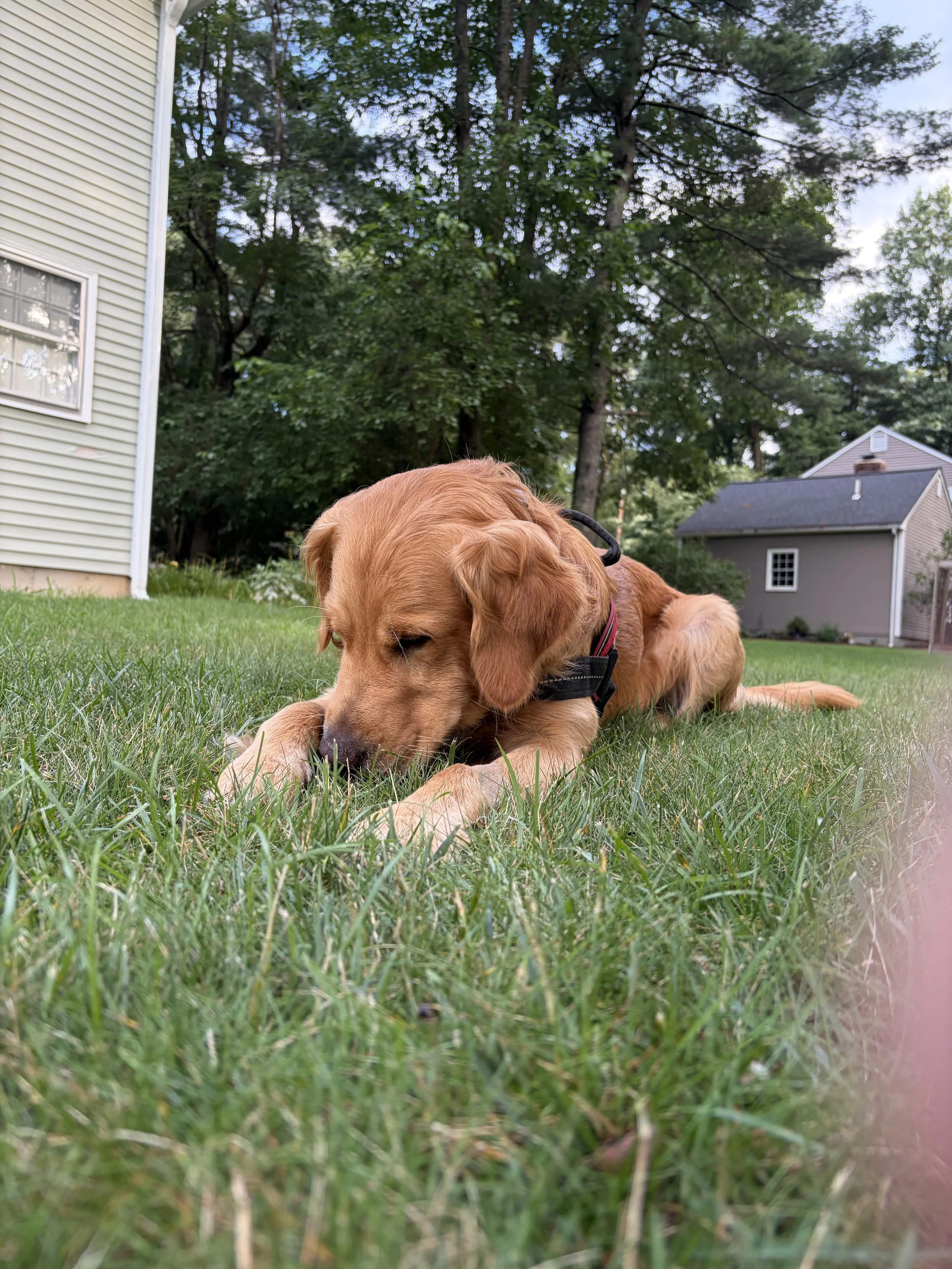 image1.jpeg