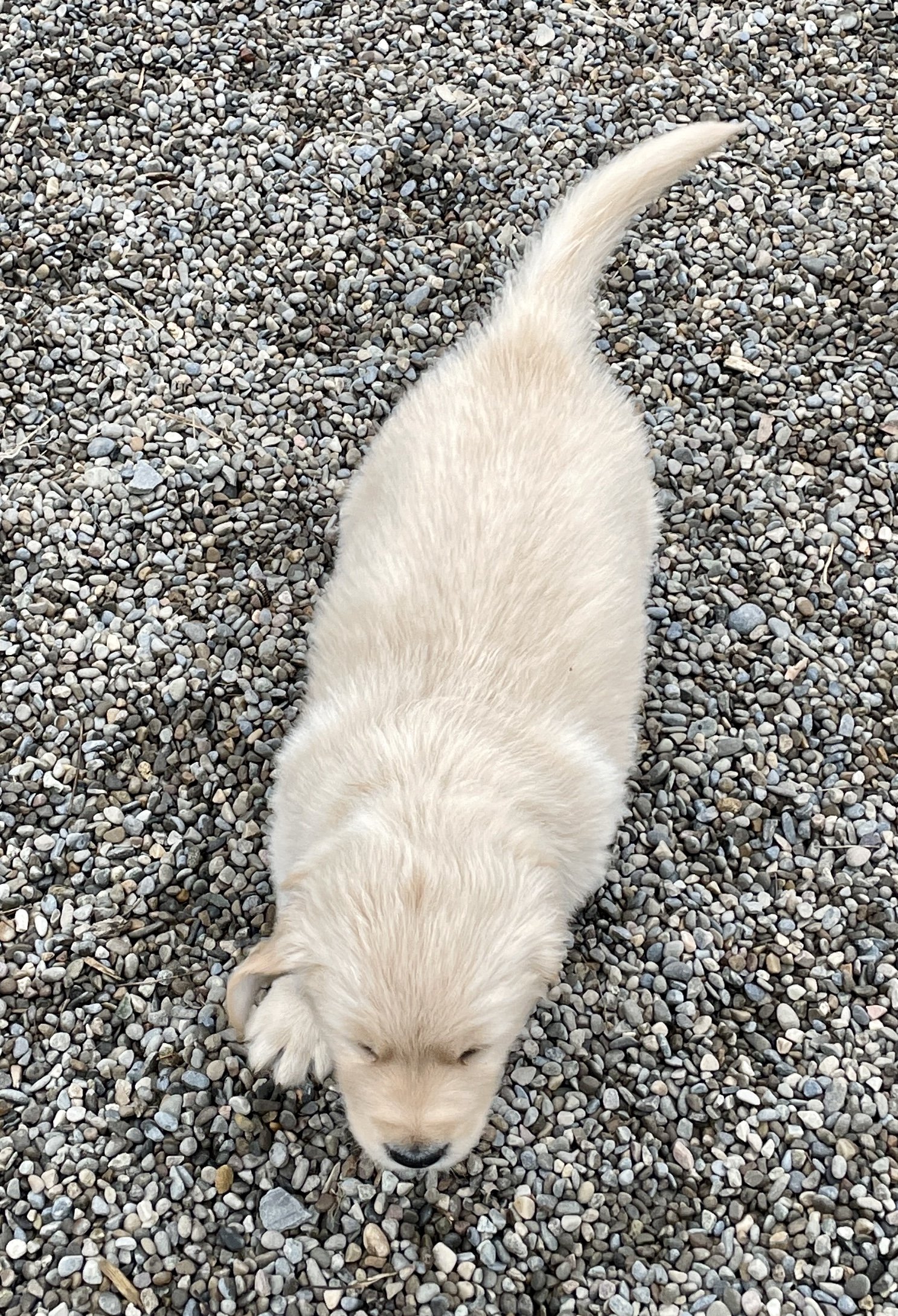 Outside Playtime!
