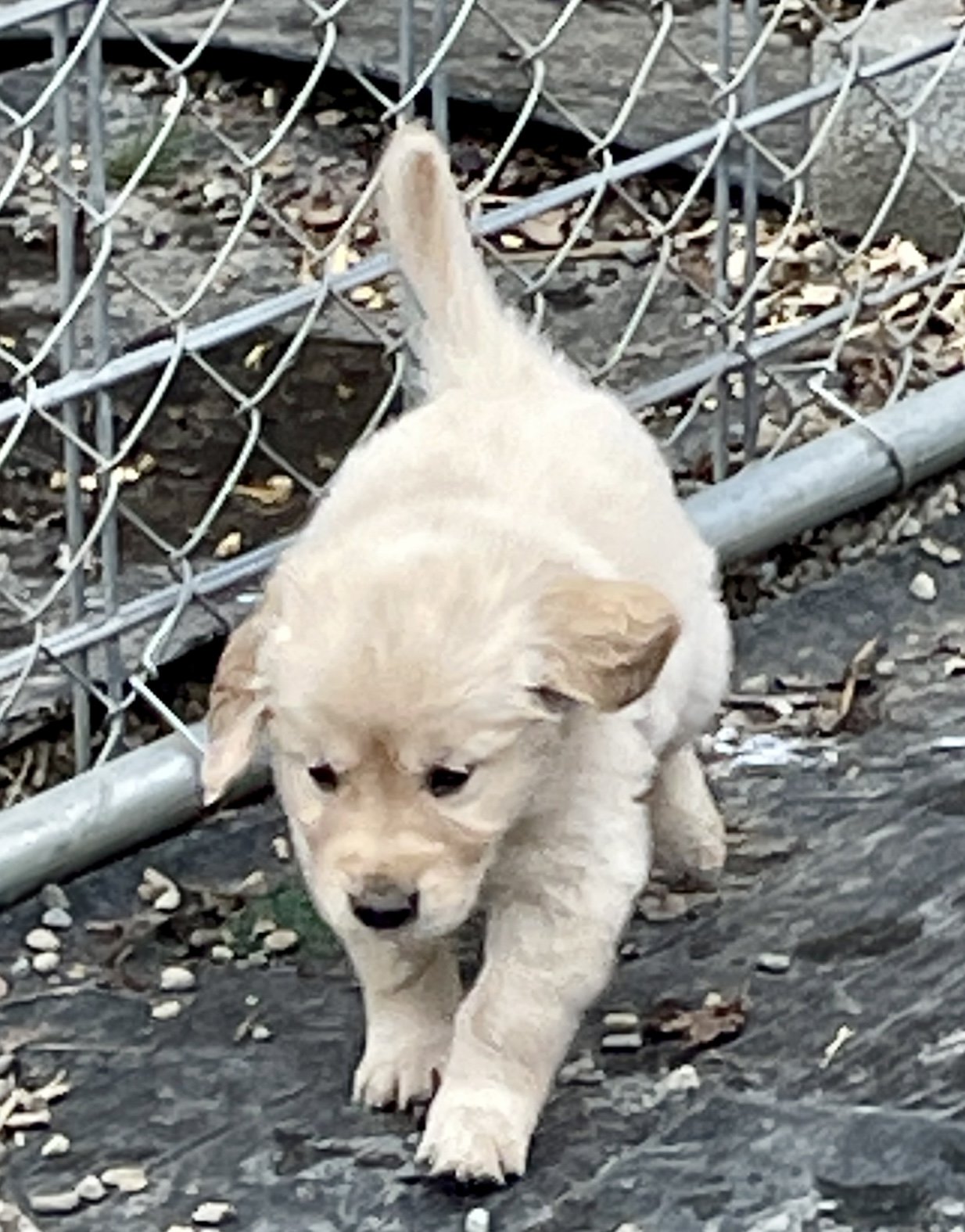 Outside Playtime!