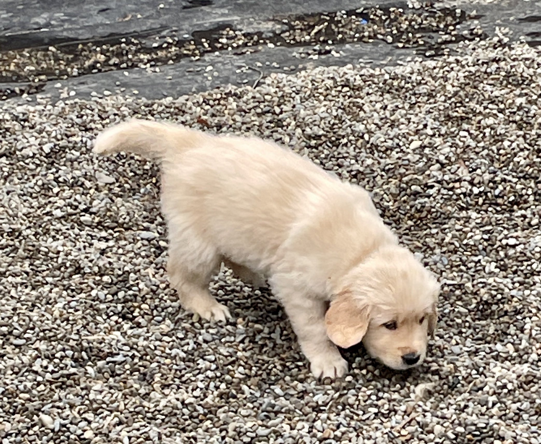 Outside Playtime!