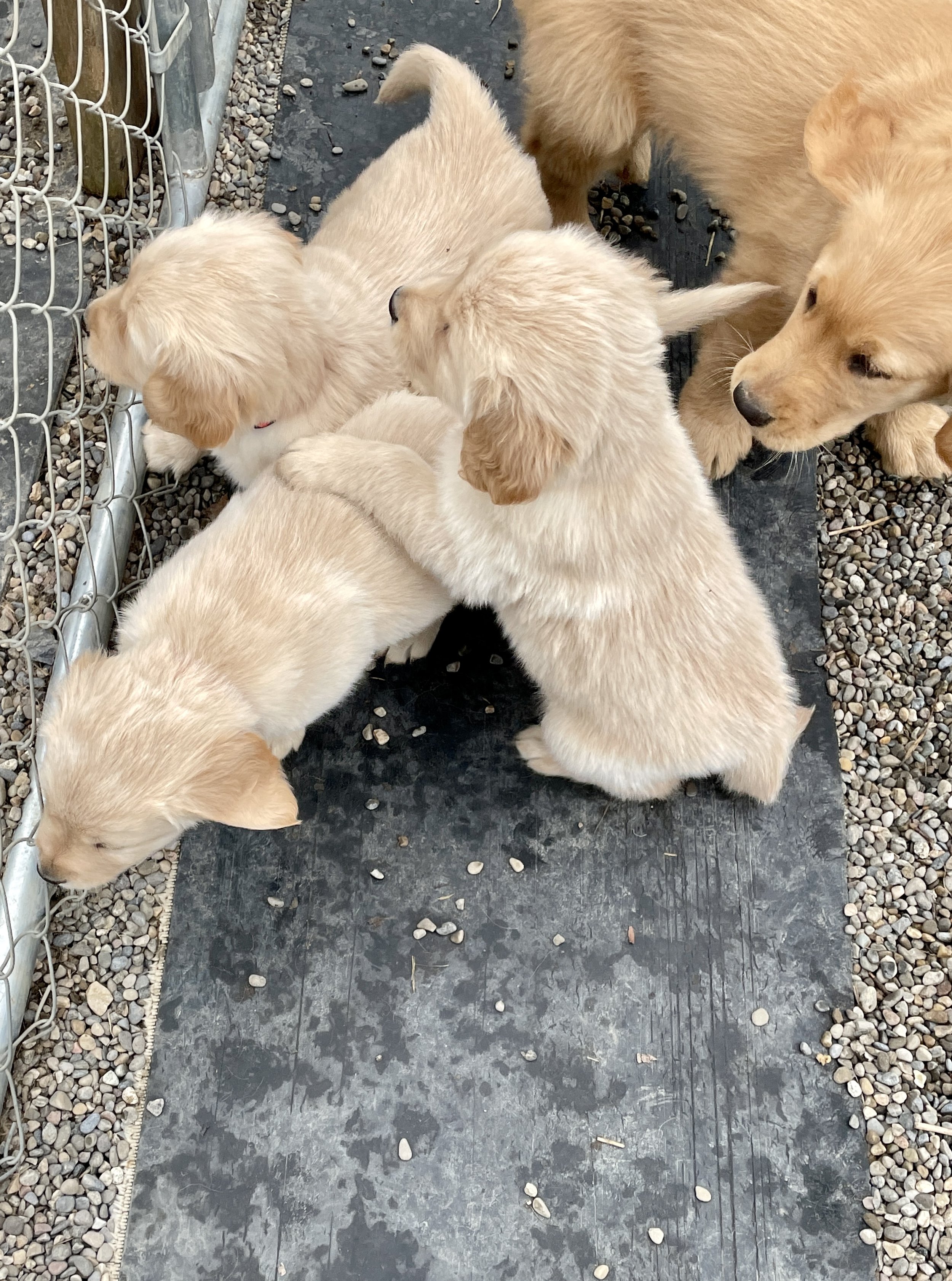 Outside Playtime!