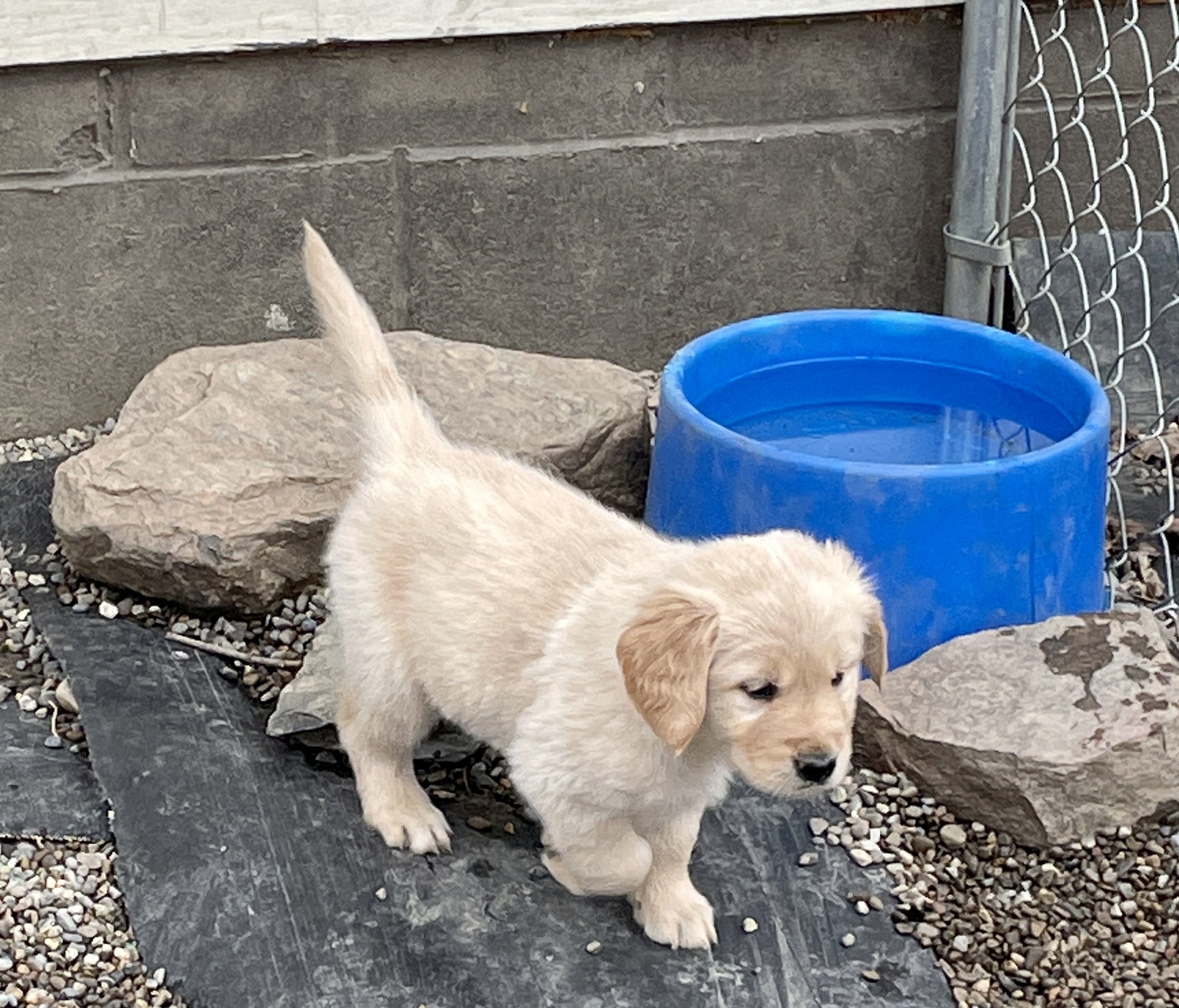 Outside Playtime!