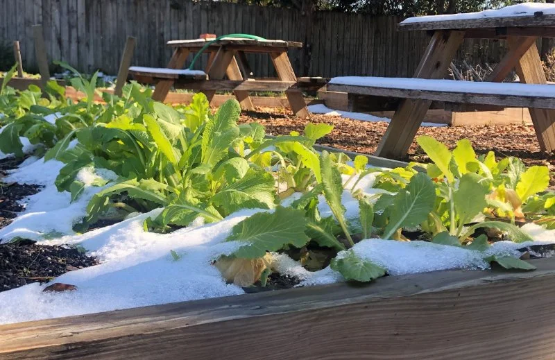 This Week from Mitch