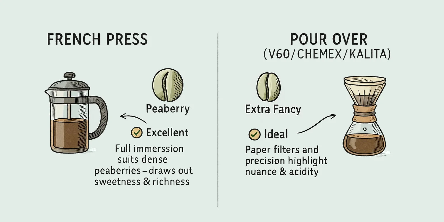 Beautiful view of Koln Coffee Beans For French Press