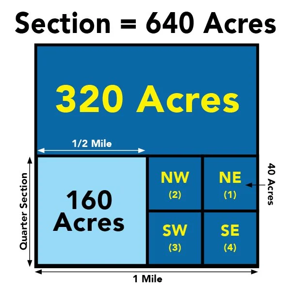 Section Info Graphic.jpg