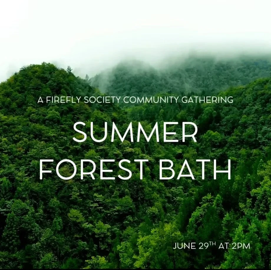 Reiki Forest Bath