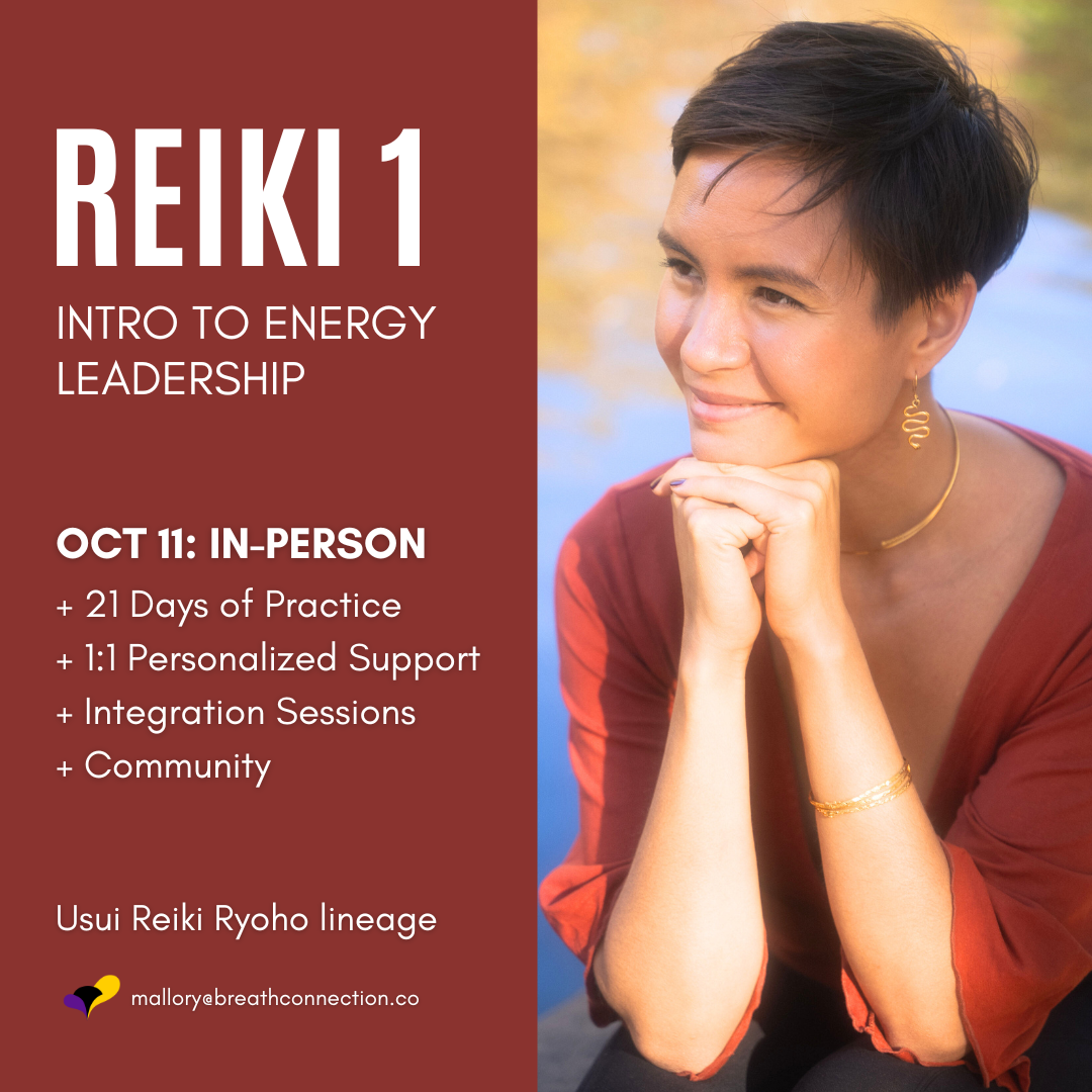 Reiki Level 1 Course