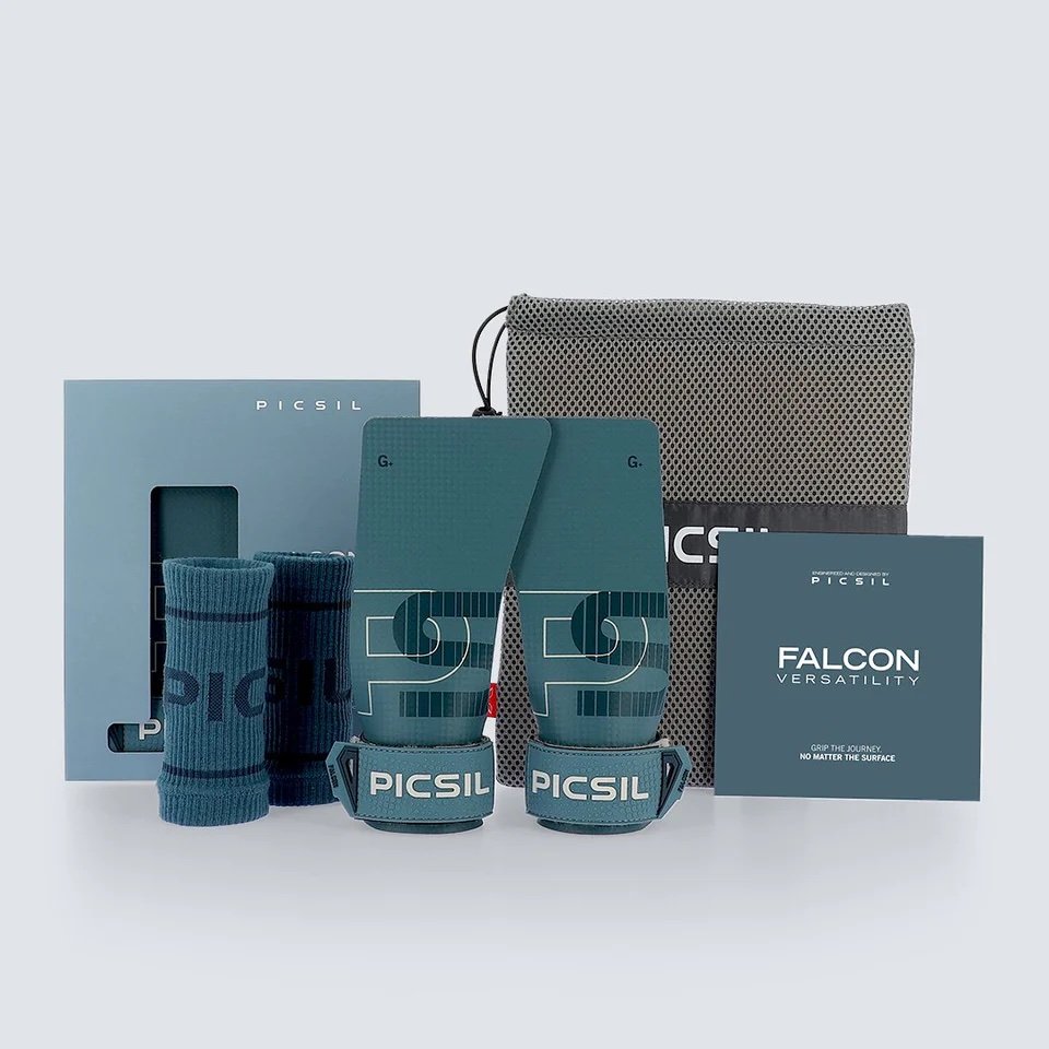 Falcon 2.jpeg