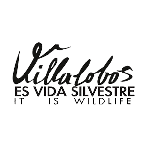 Villalobos Wine