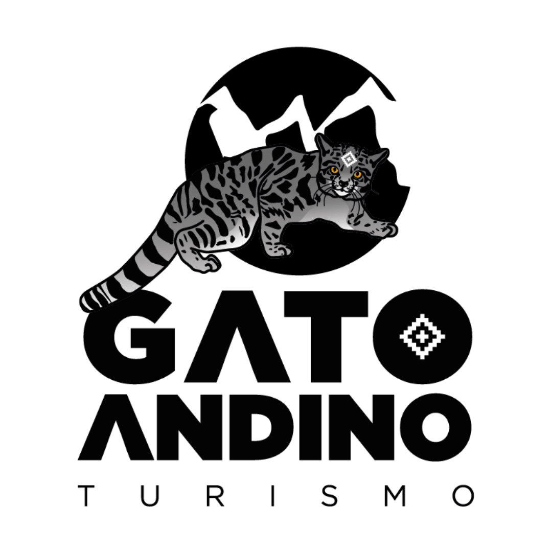 Gato Andino Turismo