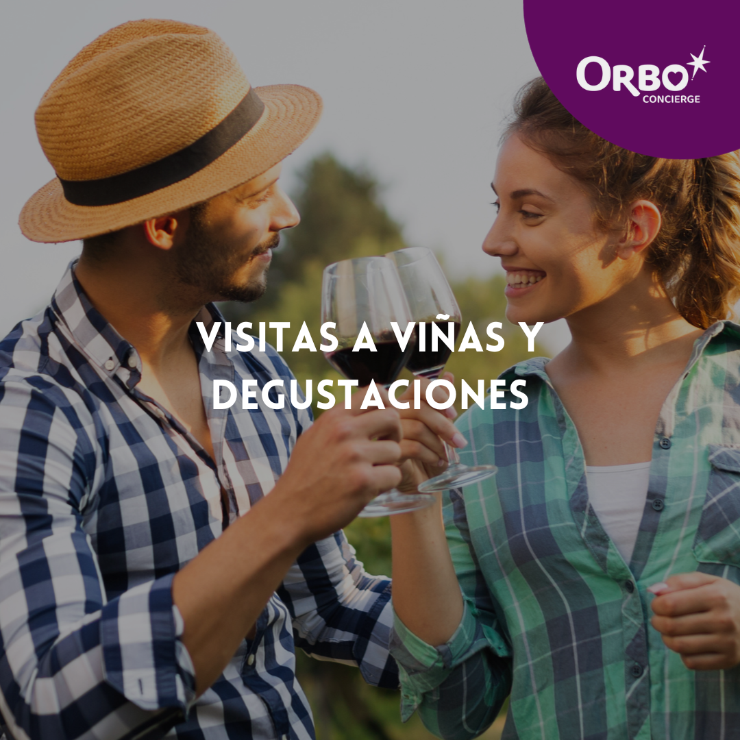 Visita a viñedos y degustaciones