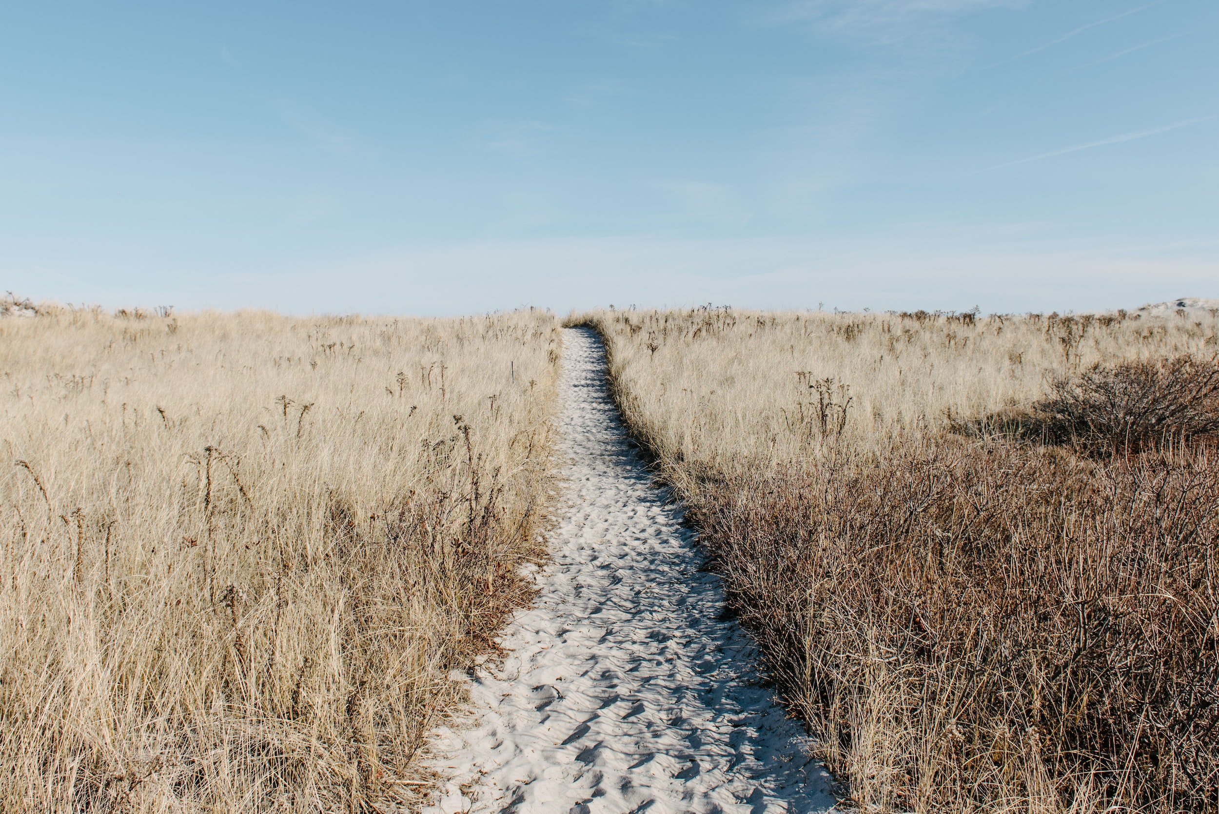 God Leads