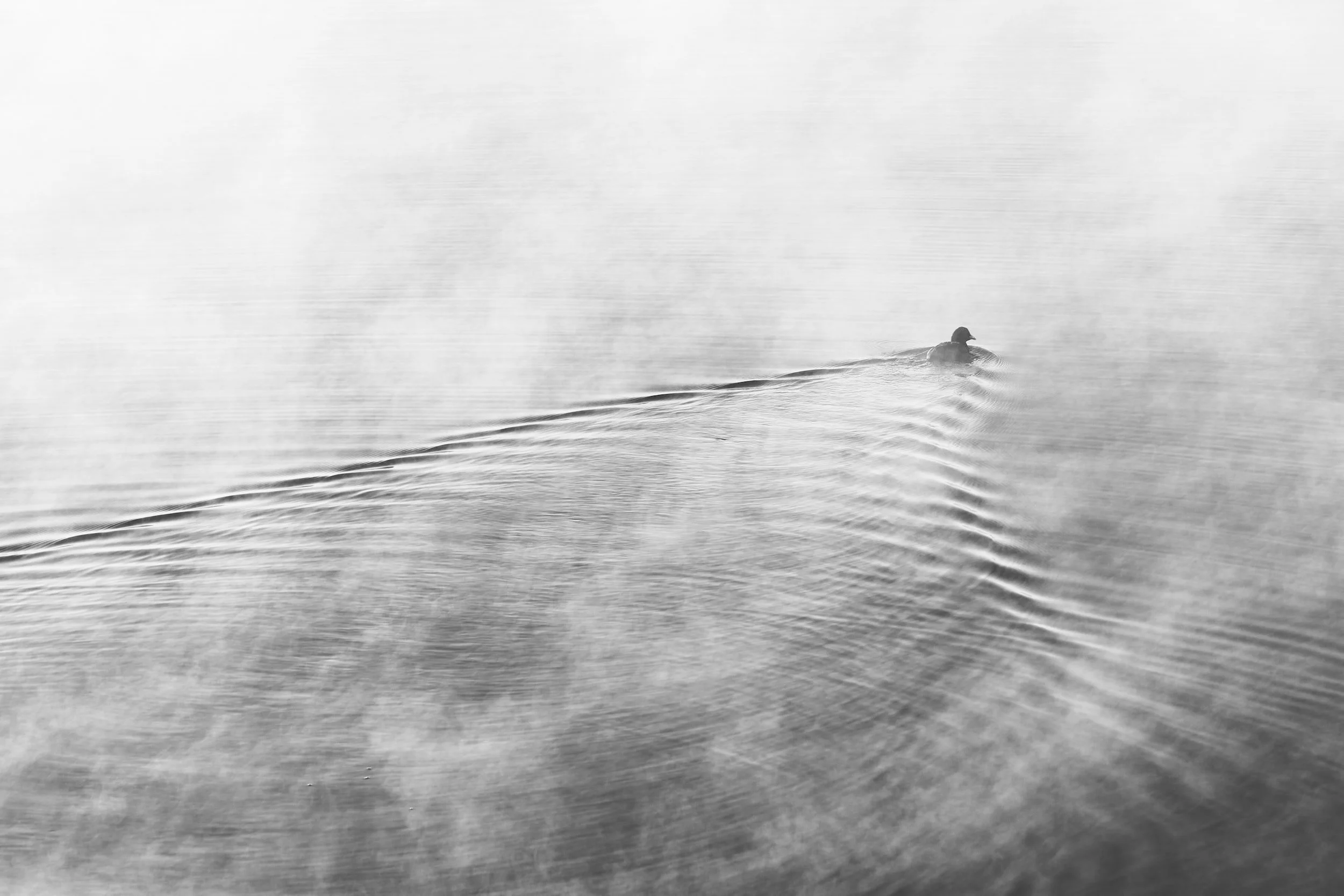 Loneliness