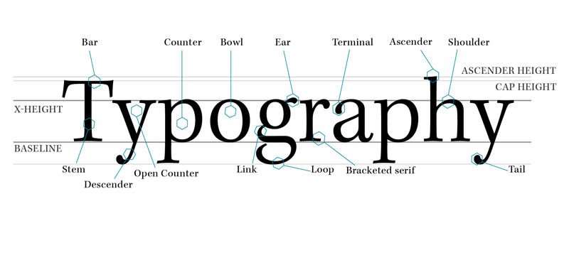 typediagram.png