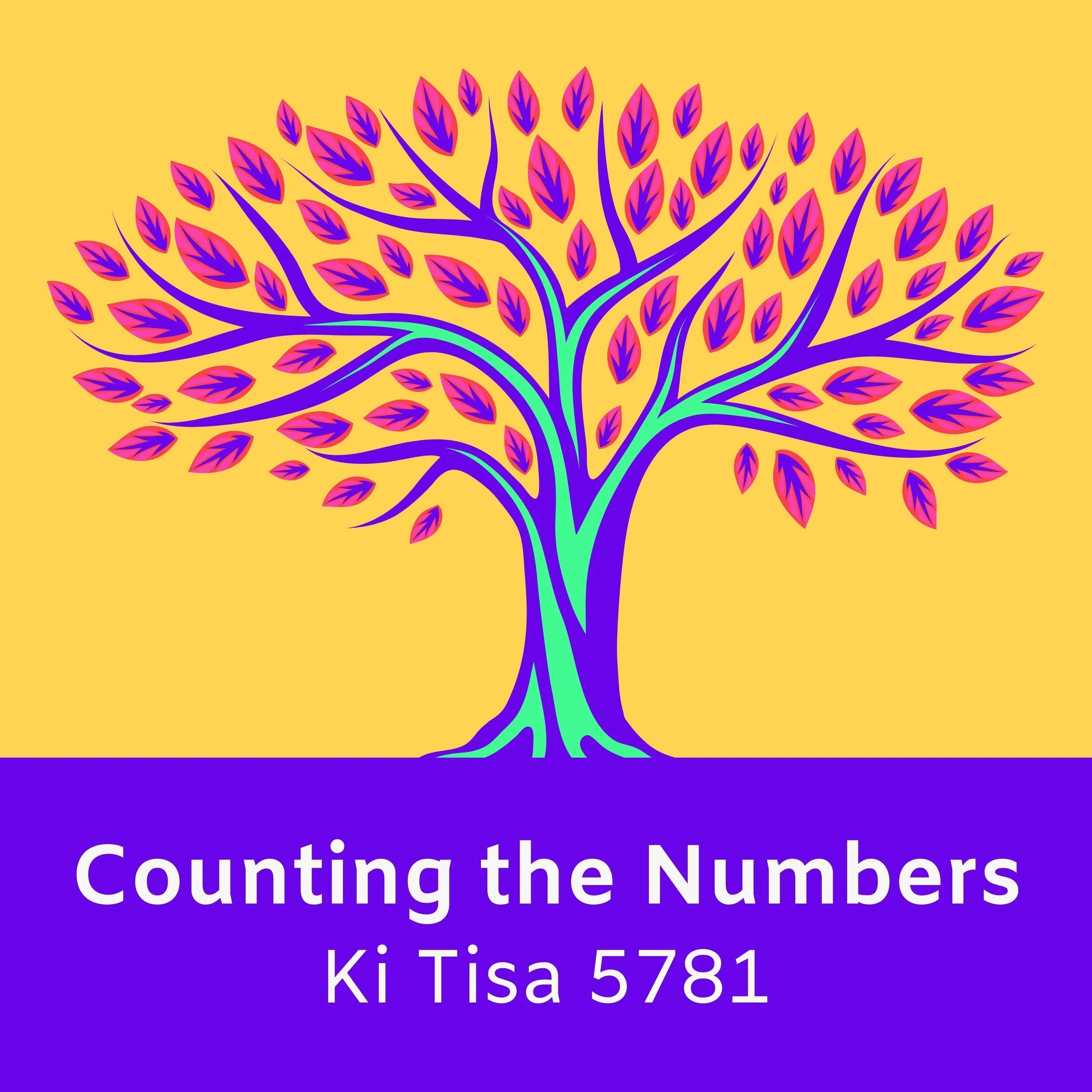 Counting the Numbers