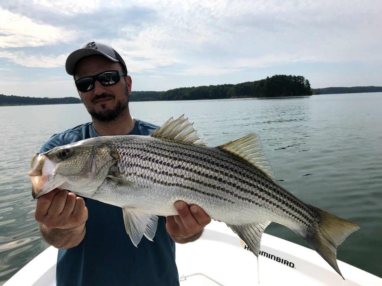 Fishing Seasons — Jeff Blair Striper Guides - Lake Lanier Fishing Guide