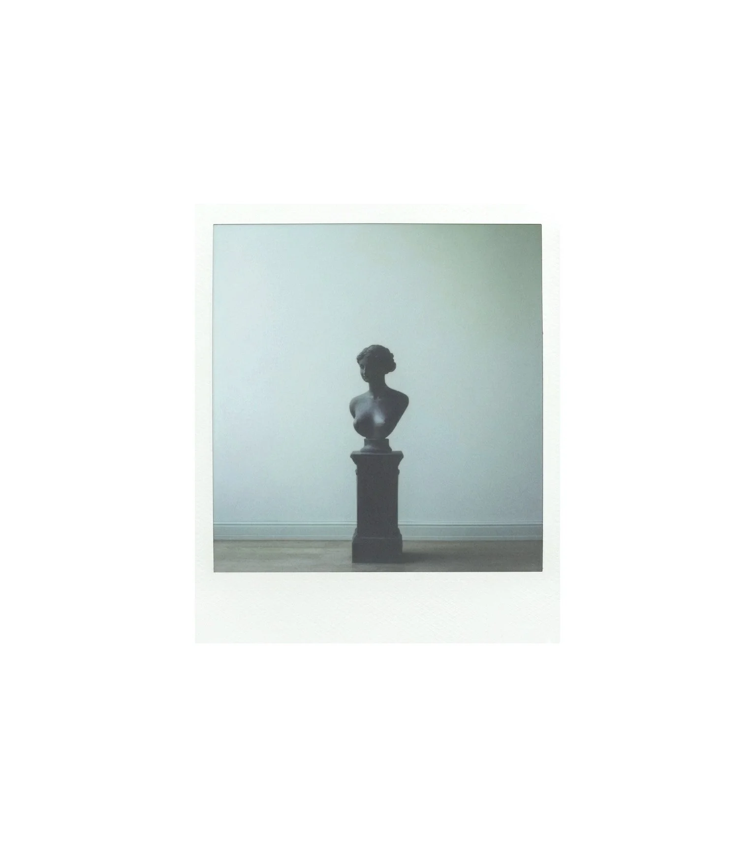 statuet polaroid .jpg