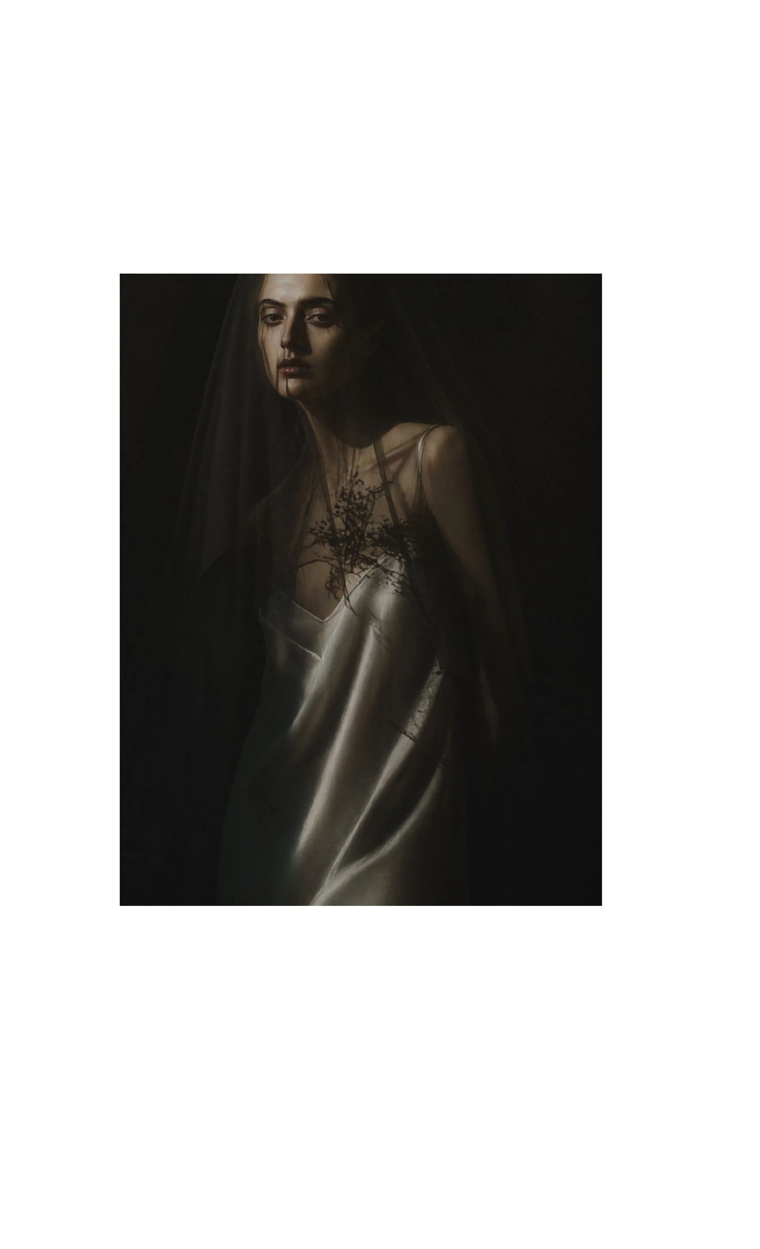 in veil_framed for websirte.jpg