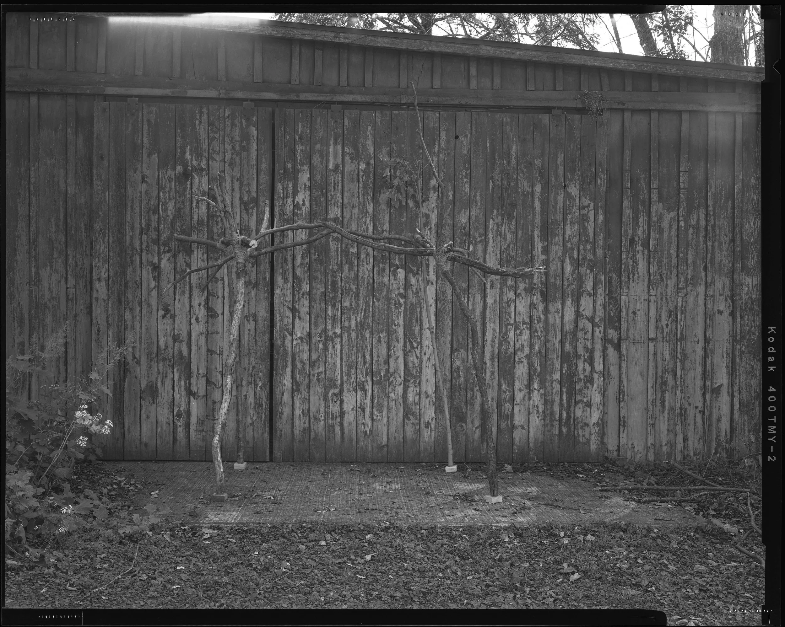 Miranda_Sara015 copy.jpg