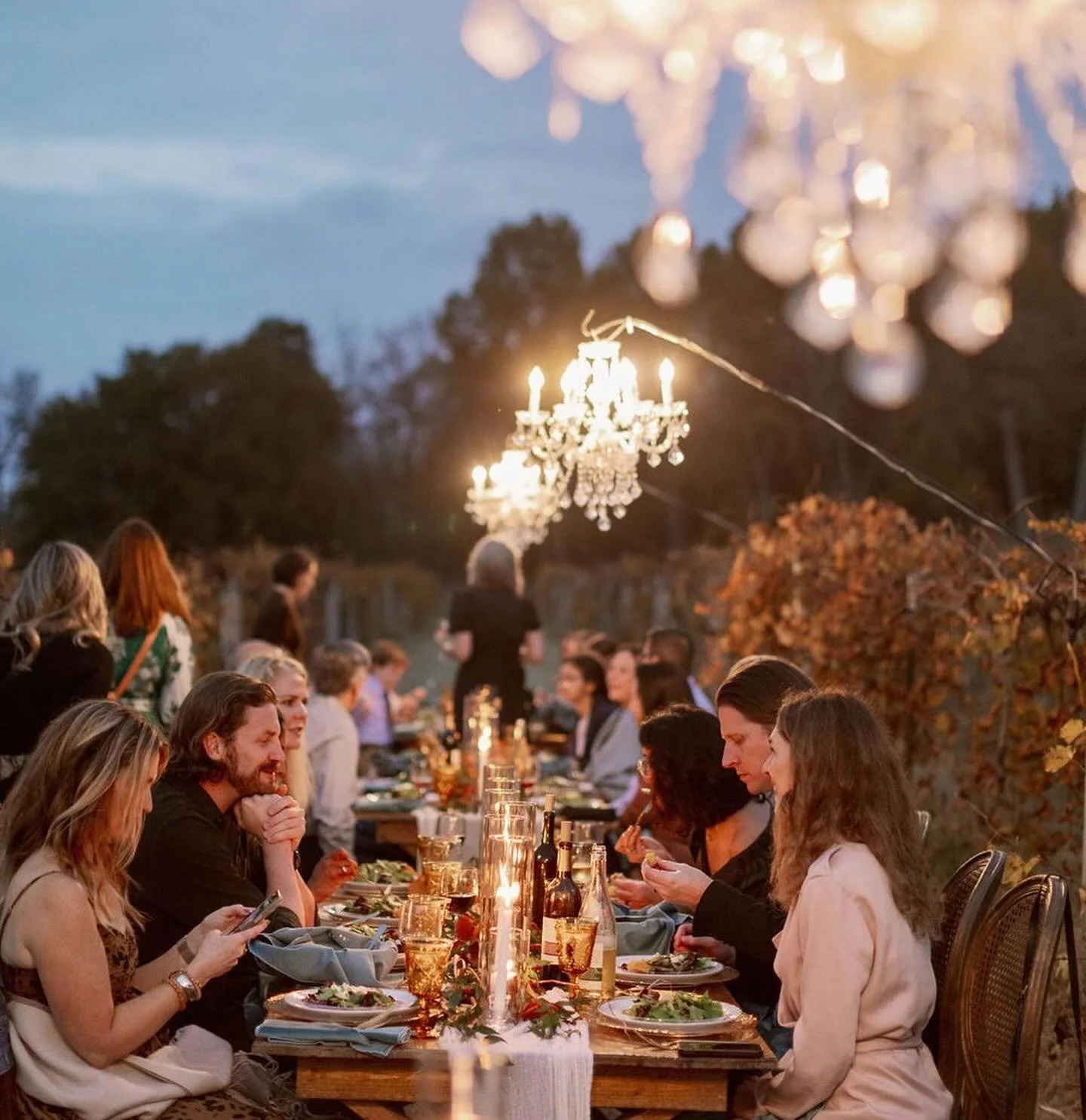 .
Come join us for a &ldquo;Once in a Blue Moon Dinner&rdquo; on July 27th at the beautiful @longhollowgardens in Gallatin, TN. Guests will dine among the grapevines, under the moon, as they savor a three-course, wood-fired dinner with wine pairings.