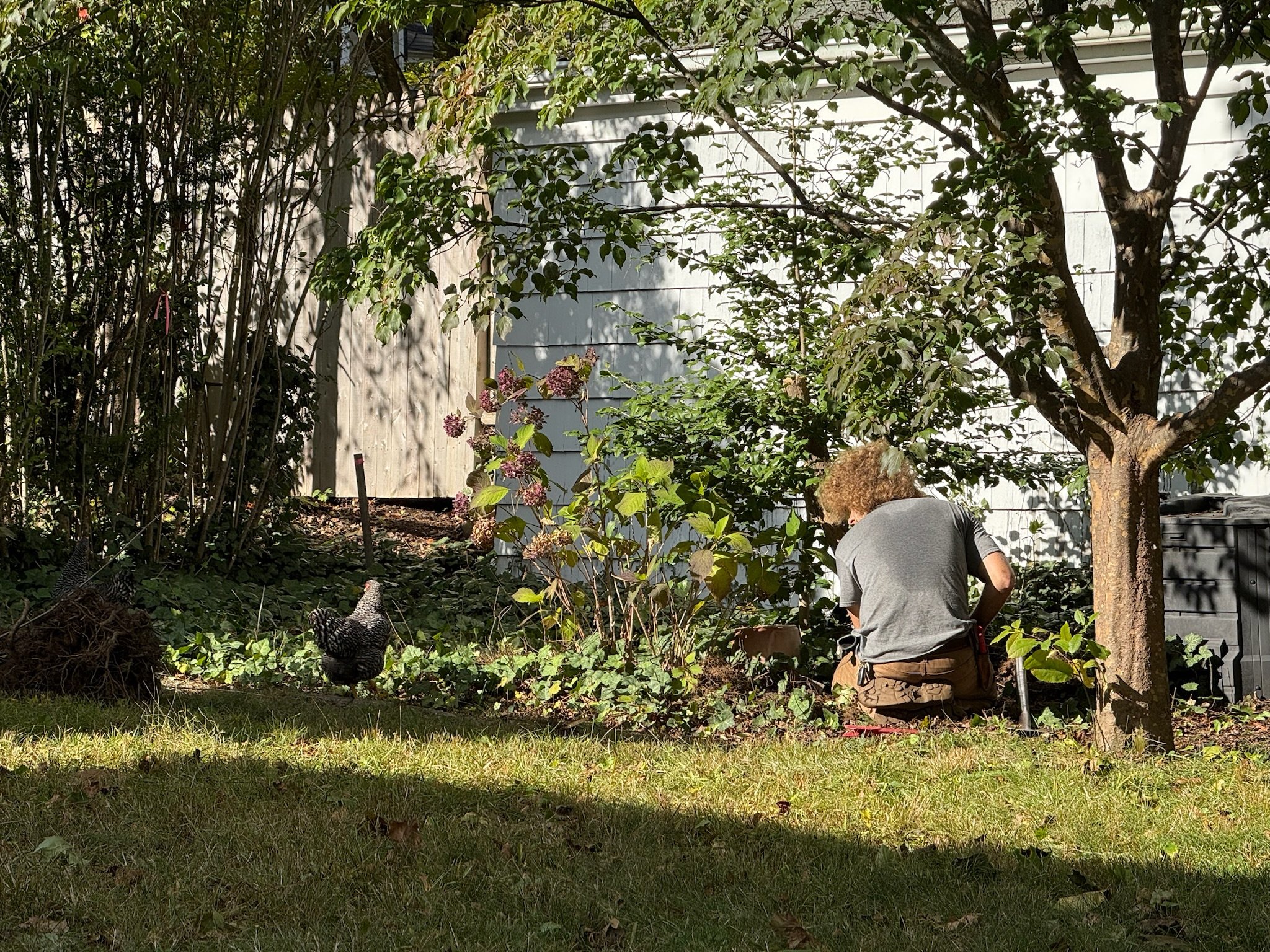 Noah w chicken.JPG.jpeg