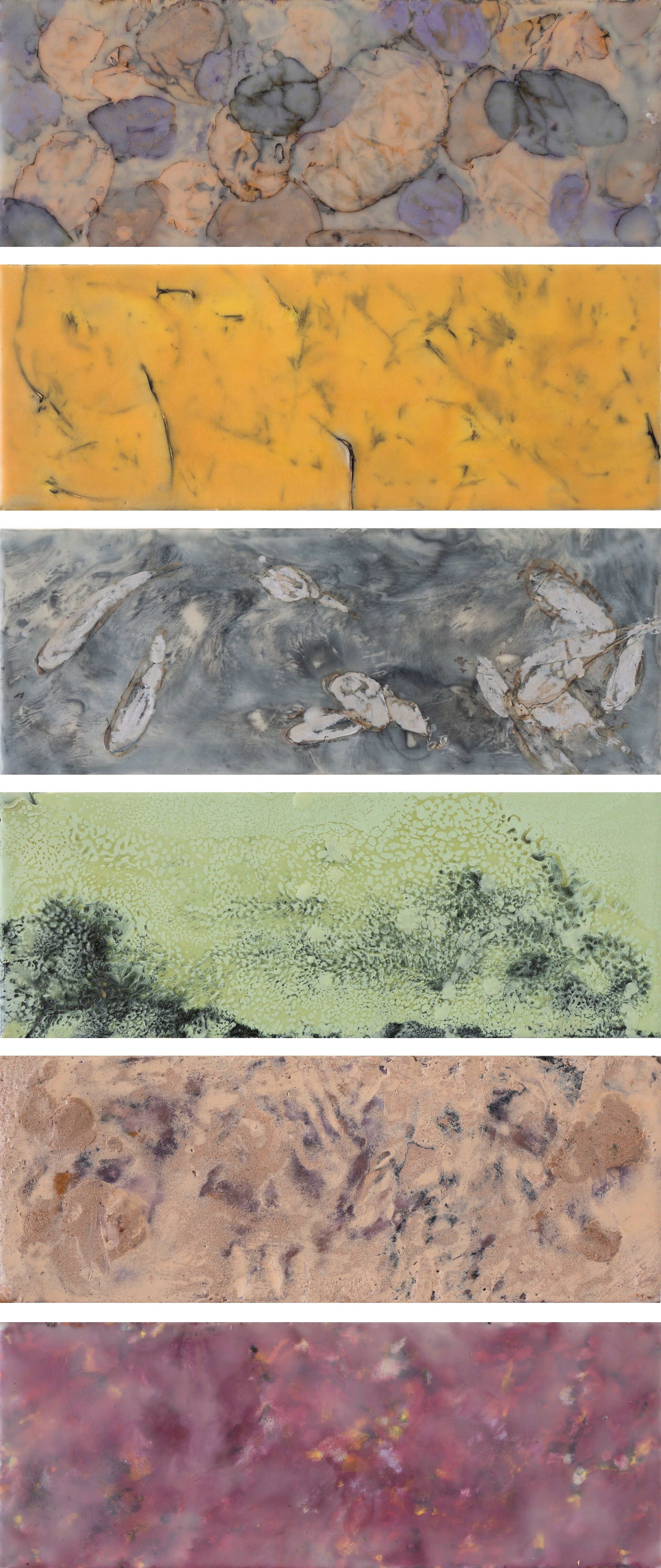 Remnants (1-6)