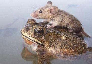 Let’s help each other