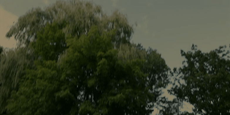 Pool - Liisa-high.gif