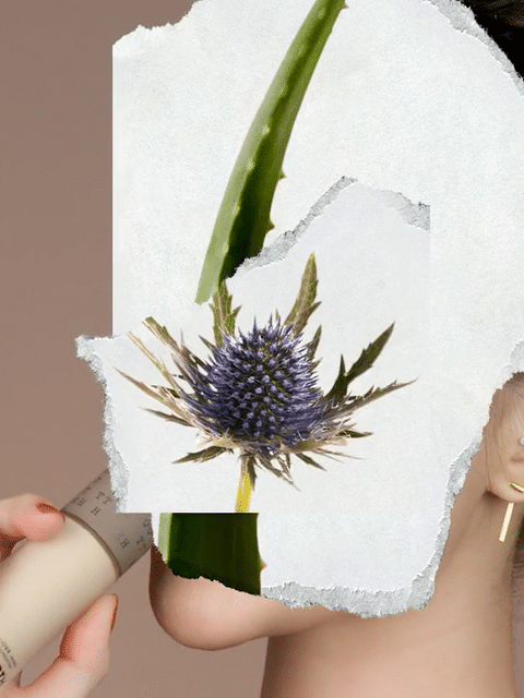 Red Earth Beauty HerbalEssence-high.gif