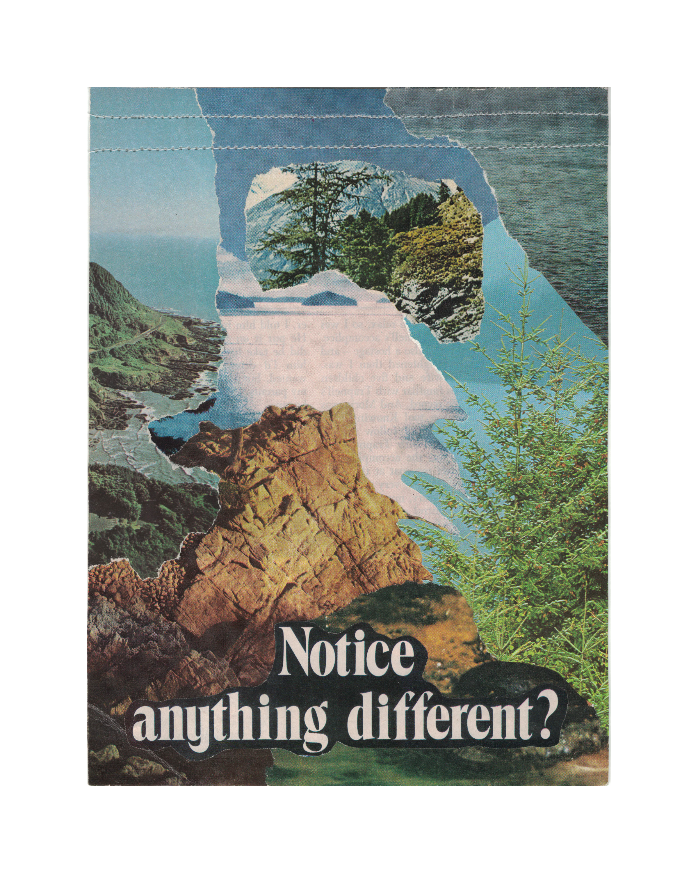2 .PNG