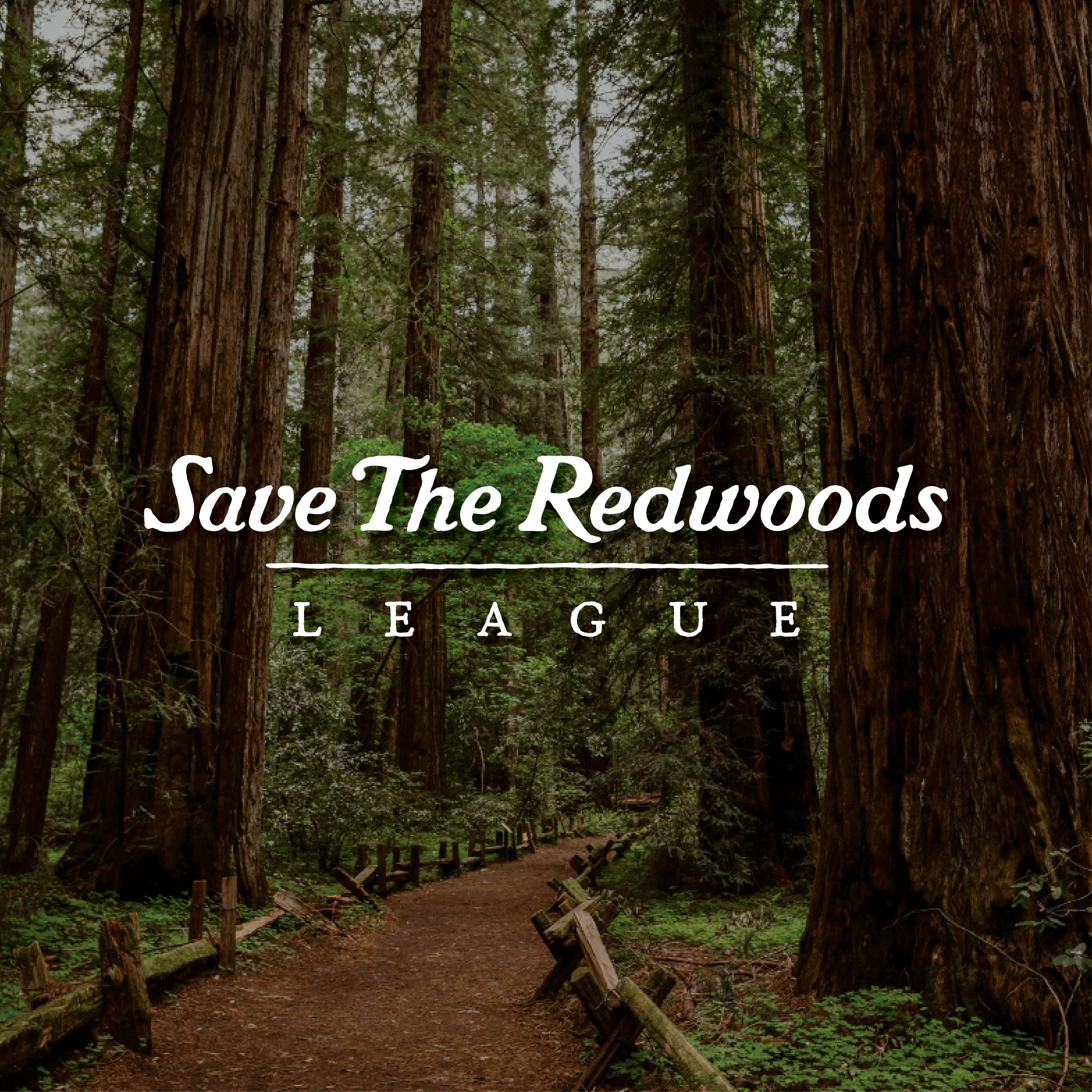 Save the Redwoods League