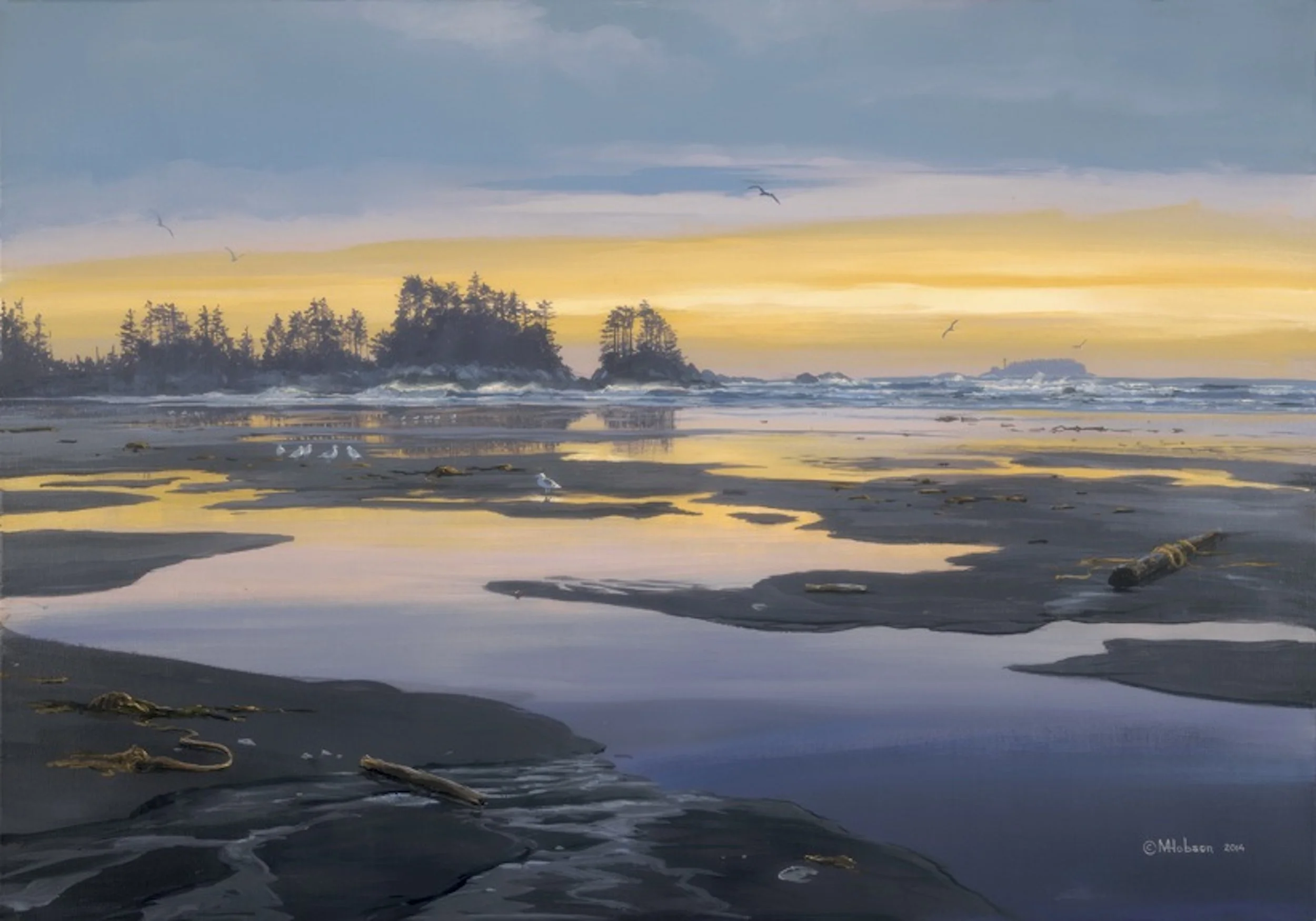 Chesterman Beach Reflections - 2014 - Acrylic - 24 x 36.jpg