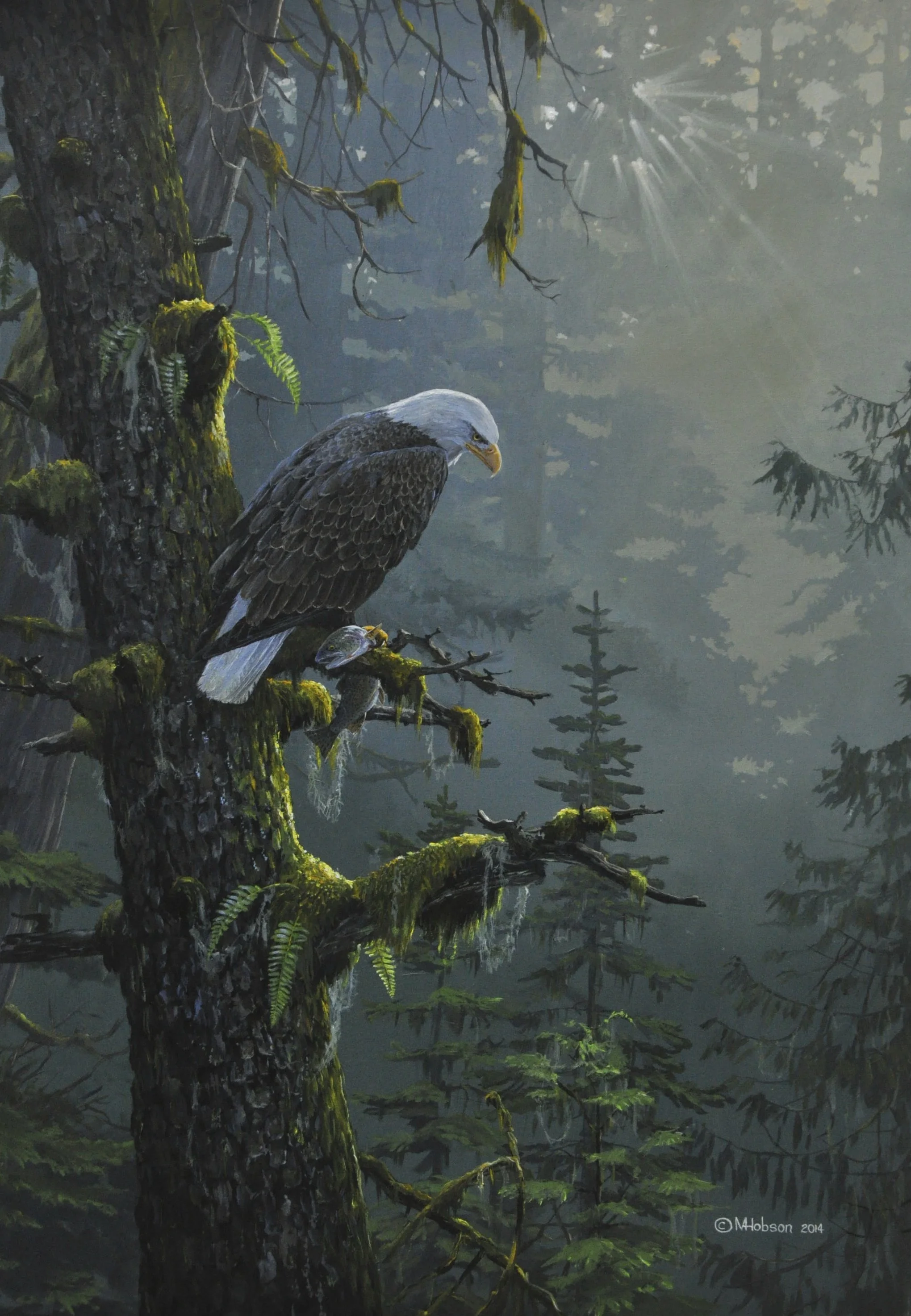 Bald Eagle- Morning Catch - 2014 - Acrylic - 40 x 30.jpg
