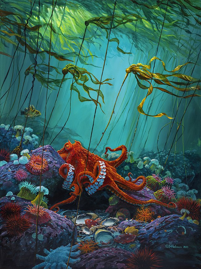 Octopus~ Emerging From Its Den - 2023 - Acrylic - 48 x 36 - Giclée.jpg