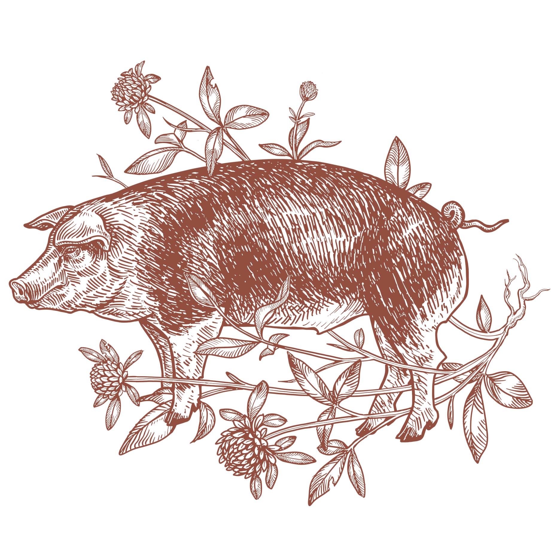 Red_Final_Pig.png