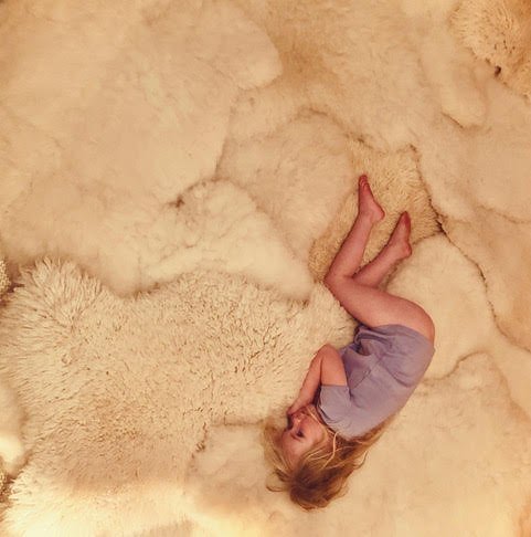 First Sheep Hides for Our Lamb Customers