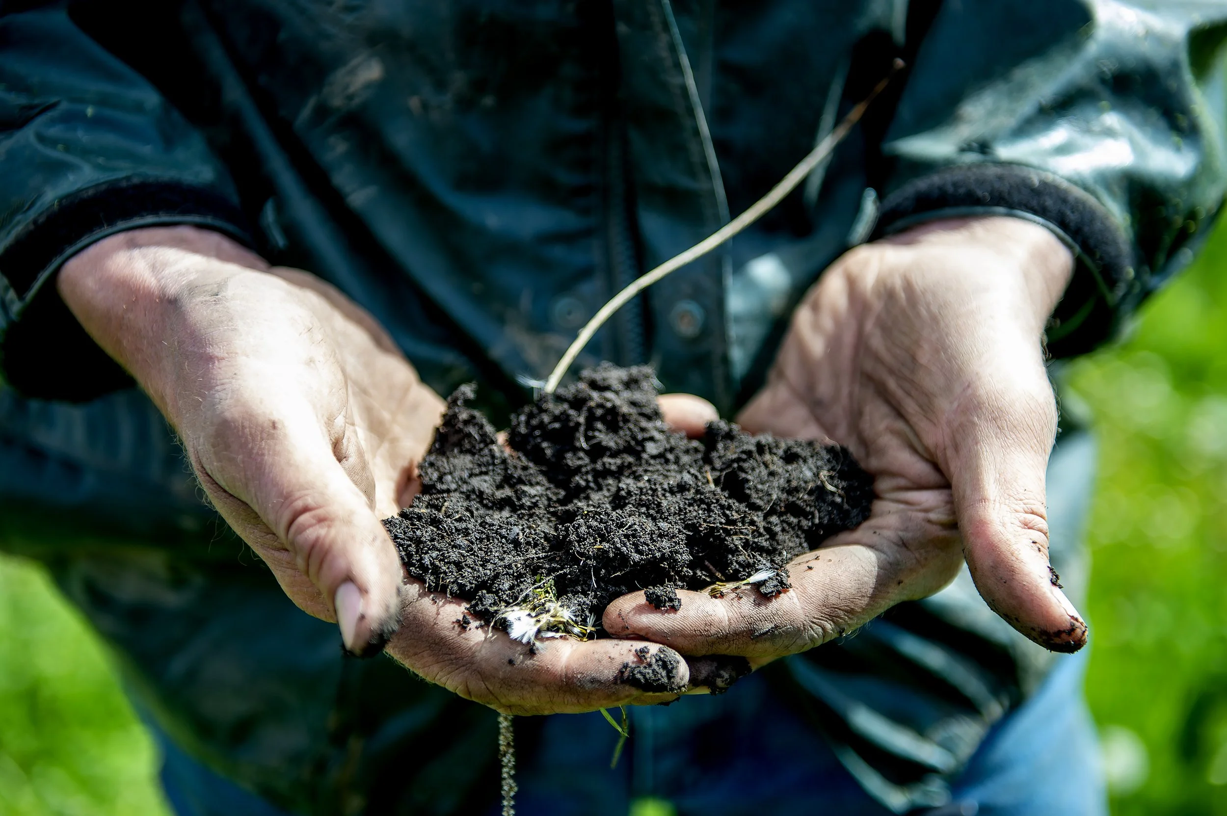 Dark earth, strong hands