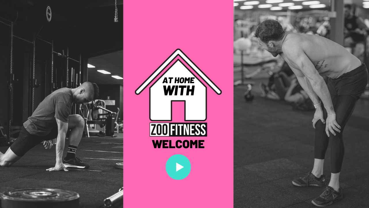 Health and Fitness — ZOO FITNESS