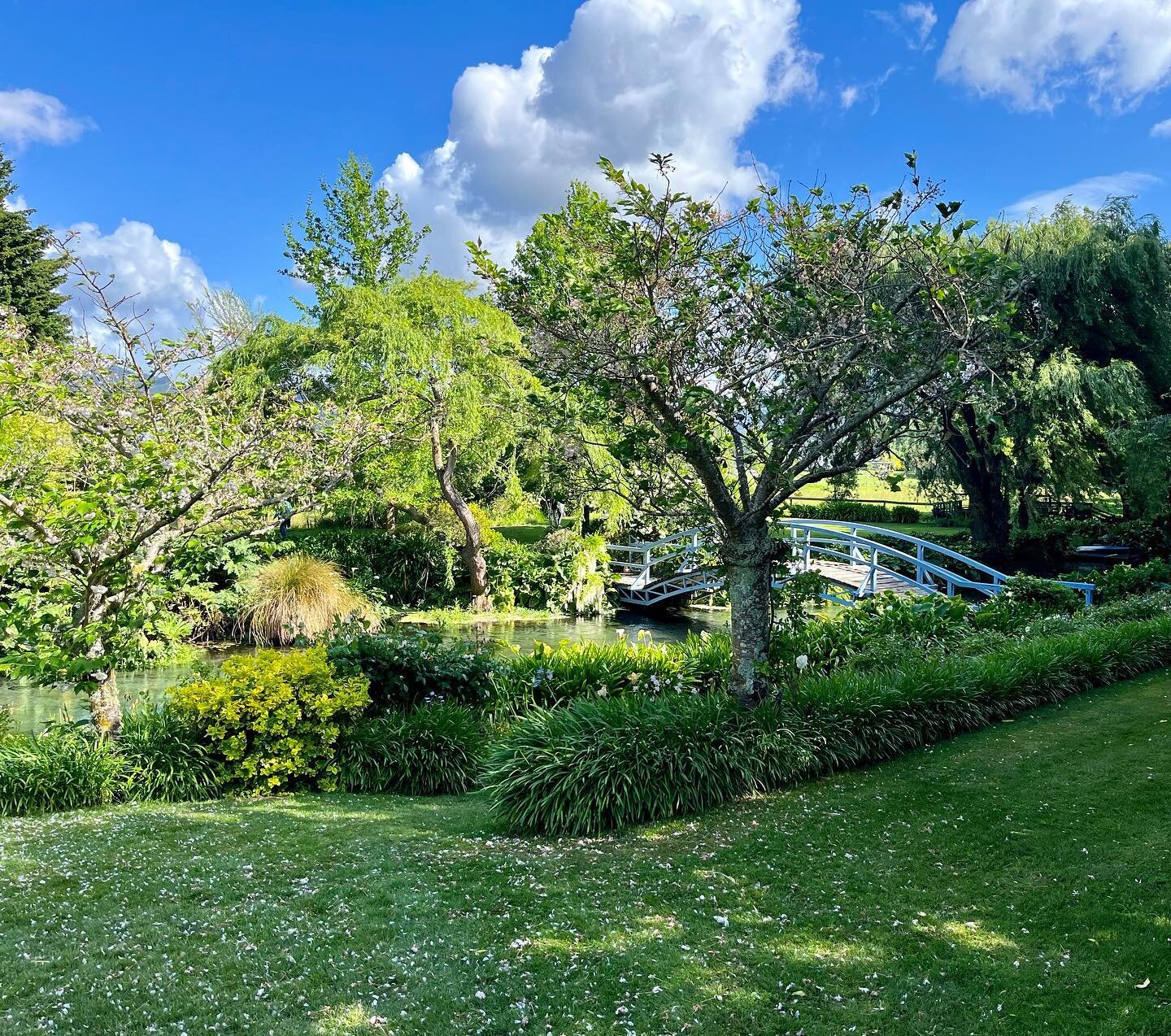 A lot of fun today hosting a wonderful group of ladies for @gardenmarlborough Wairau Tour.

The sun came out for us at stunning Hortensia House. (I possibly needed to talk a bit less and take a few more photos&hellip;.)

#gardeninspiration #hortensia