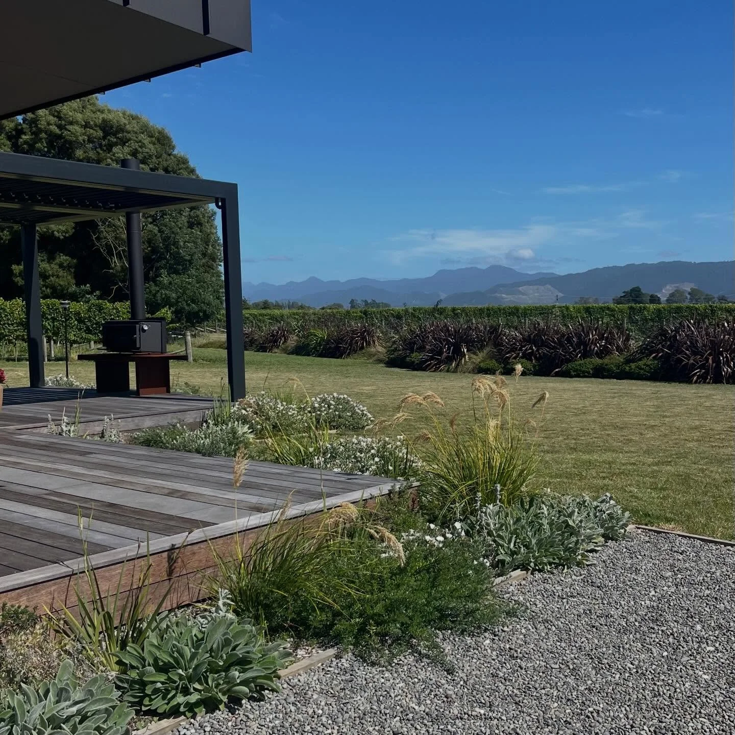 Blenheim Garden, Marlborough

An unseasonably green summer&rsquo;s day for a site visit today to review plant selections and progress 🌿