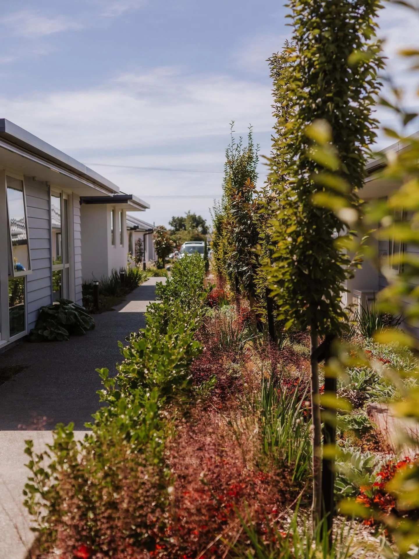 Bethsaida Retirement Village, Blenheim

Since 2023 Noble Fox has worked with Bethsaida as they upgrade their existing gardens and construct new residences - expanding their Weld St site. 

From site wide Master Planning through to detailed Planting a