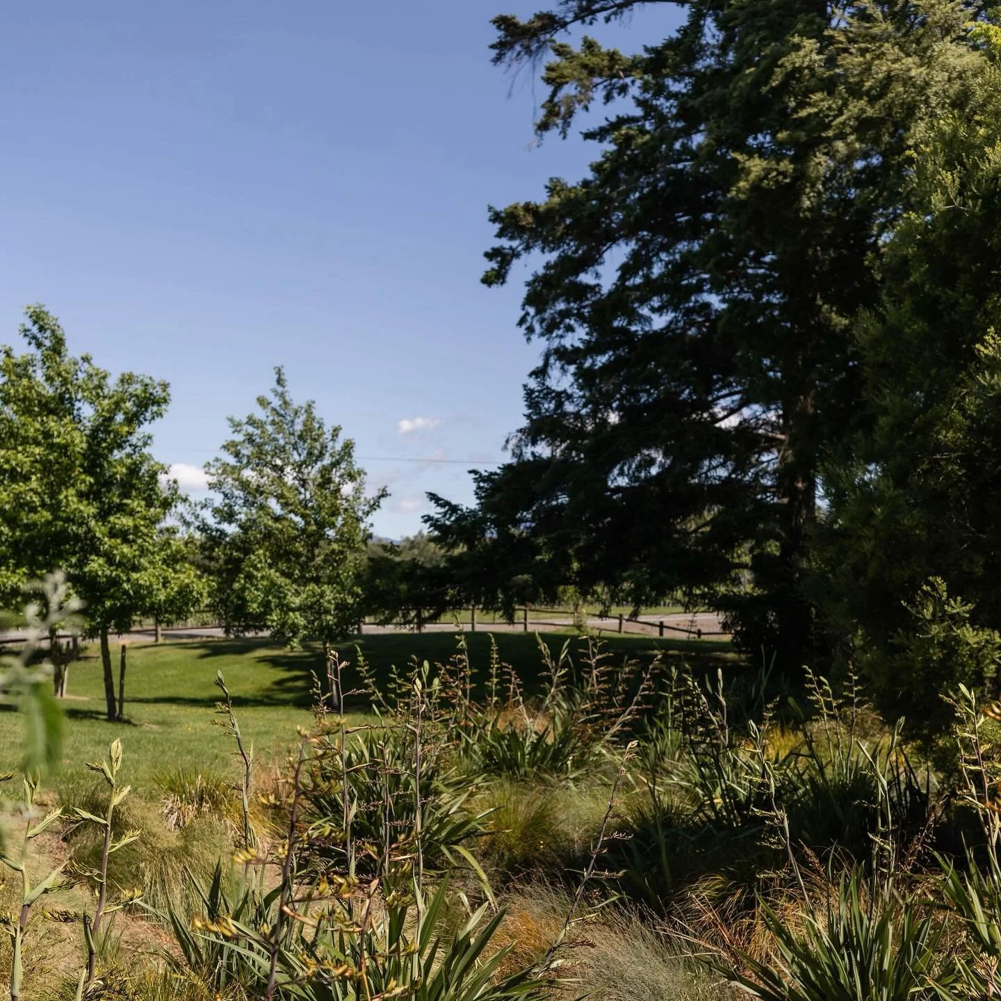 Landscape Architecture for rural properties can range from developing bare paddocks to renovating gardens with history spanning generations.

Retaining significant trees and plants with sentimental and cultural value, enhancing natural features, desi