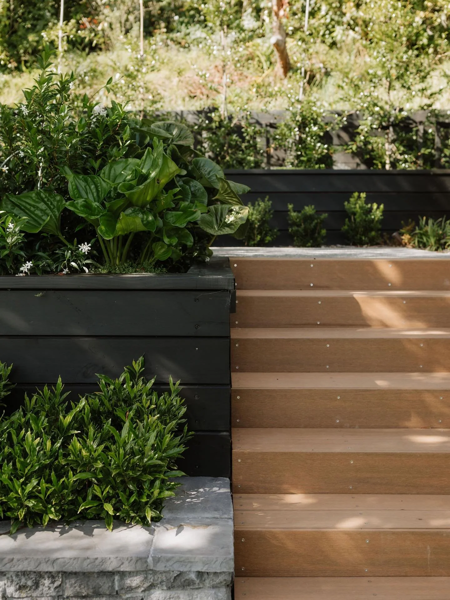 Waikawa Garden, 2024/25

With a total home renovation completed, attention was turned to upgrading the rear garden of this Waikawa property. The steep hillside was highly visible from the southern decks and included existing trees and services that n