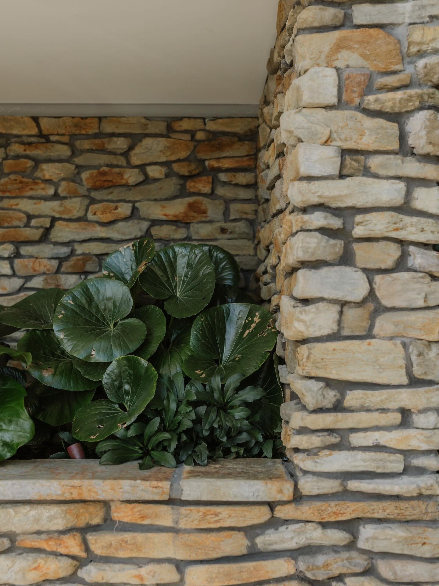 Picton, New Zealand

Details from our Waikawa Garden project completed in early 2025.

Hard Landscape Construction: Crafar Crouch, Picton

Soft Landscape Implementation and Supply @reformlandscapesltd 

Stone: @classicstone 
Decking: Outdure

Photogr