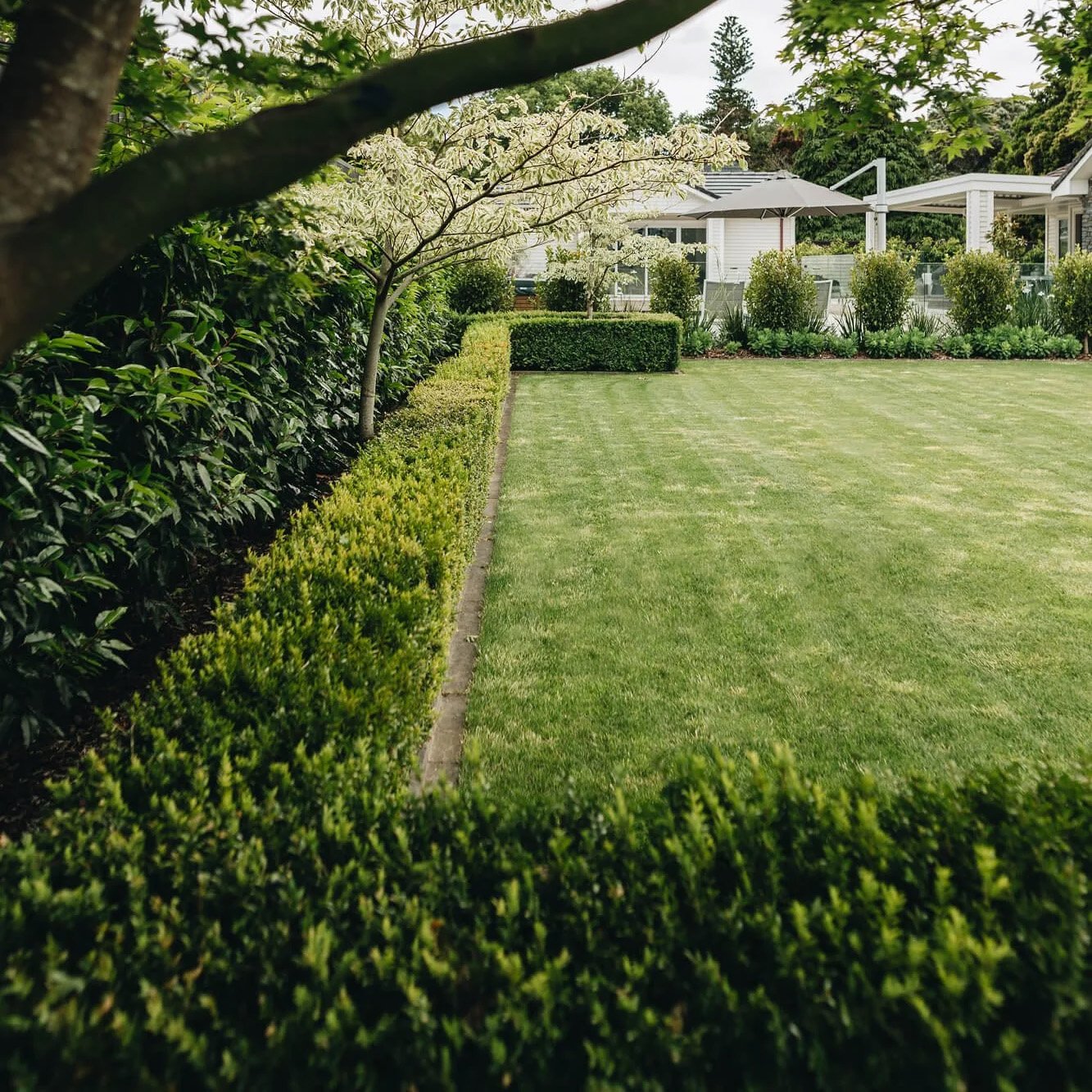 Residential & Rural Landscape Architecture - Noble Fox in Marlborough, NZ